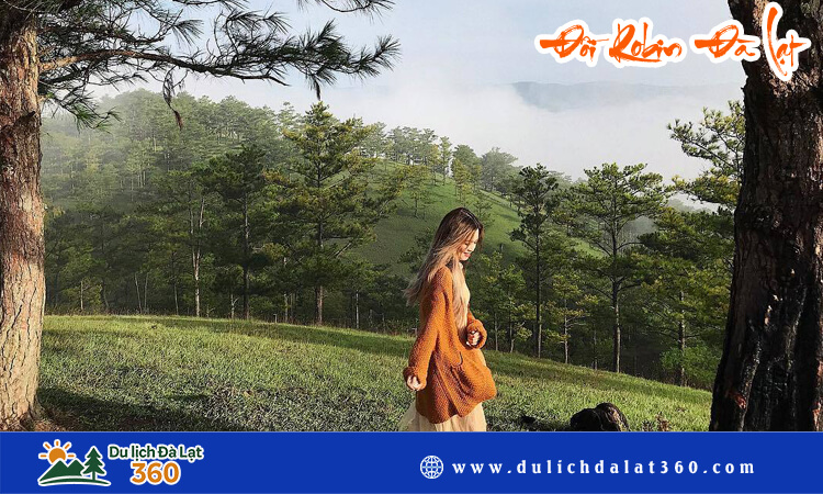 Đồi Robin Đà Lạt