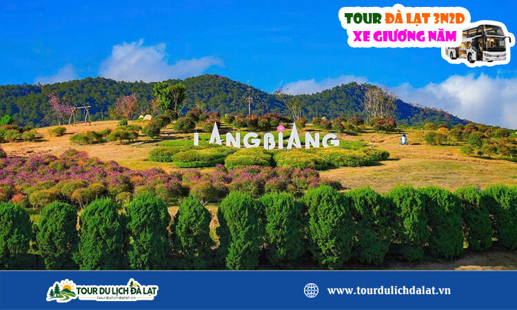 Tour Đà Lạt 3 ngày 2 đêm xe giường nằm