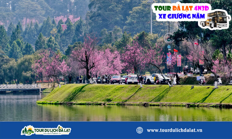 Tour Đà Lạt 4 ngày 3 đêm xe giường nằm