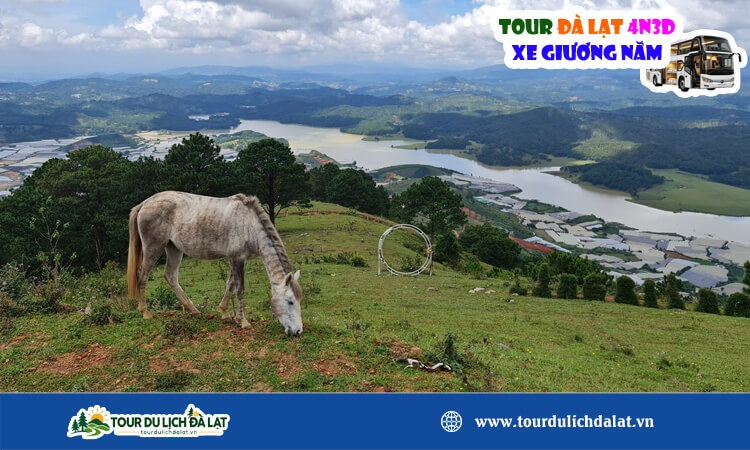 Tour Đà Lạt 4 ngày 3 đêm xe giường nằm