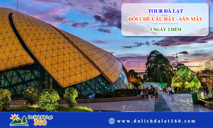 Tour Đà Lạt - Đồi Chè Cầu Đất - Săn Mây 3 ngày 2 đêm 